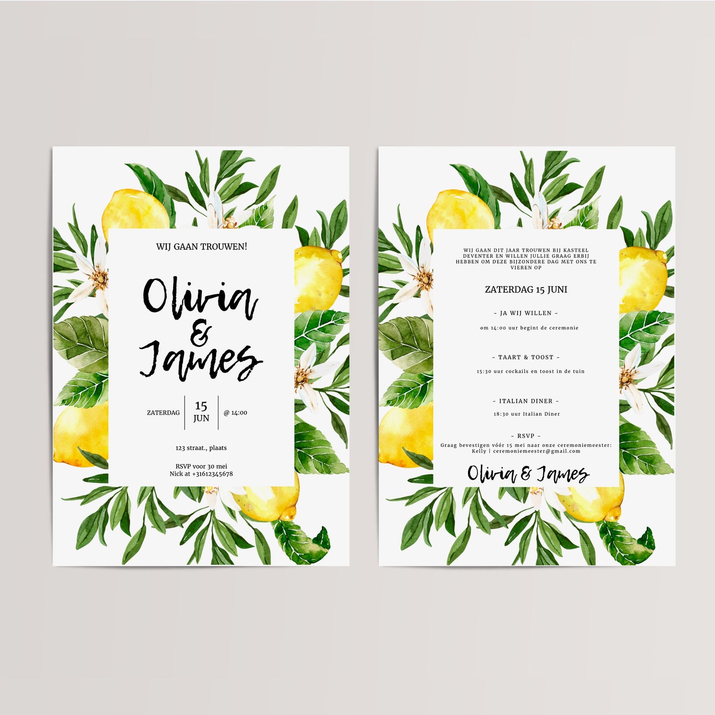 Printable Wedding Invitation / Wedding Card with Lemons Frame